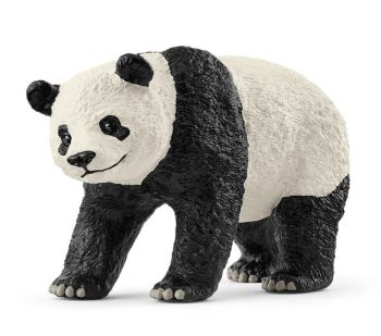 SHL14885 - Giant Panda