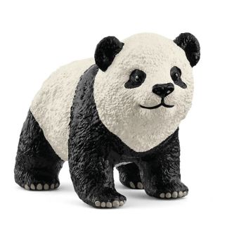 SHL14886 - Young Giant Panda
