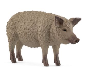 SHL14892 - Mangalica Pig
