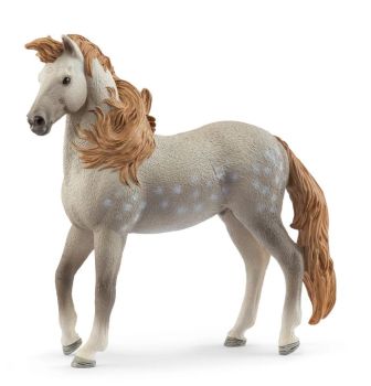 SHL14895 - Andalusian Stallion