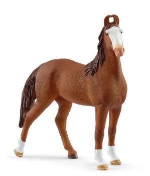 SHL14897 - Marwari Mare
