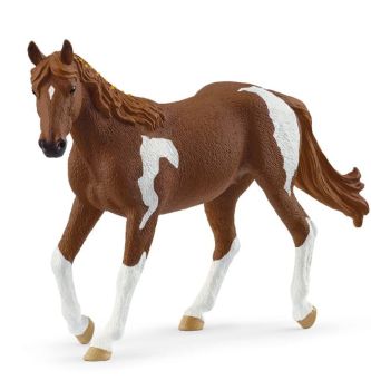 SHL14901 - Paint Horse Mare
