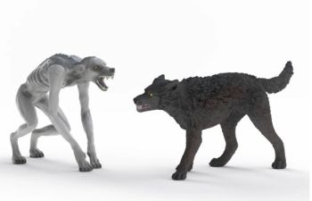 SHL14906 - Werewolf vs. Animagus