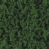HEK1553 - Pine green polar foliage - 28 x 14 cm