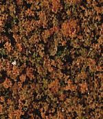 HEK1557 - Autumn brown polar foliage - 28 x 14 cm