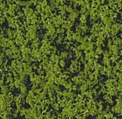 HEK1561 - Medium green foliage - 200 ml