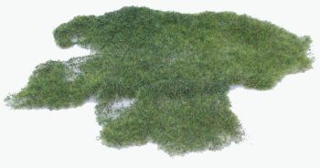 HEK1573 - Realistic wild marsh grass - 28 x 14 cm
