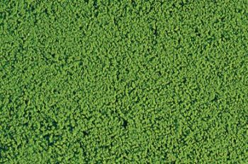 HEK1610 - Light green microflock foliage - 200 ml