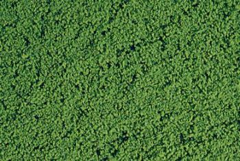 HEK1611 - Medium green microflock foliage - 200 ml