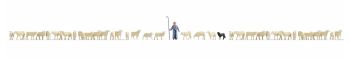 NOC16162 - XL boxed set - 37 sheep and shepherd