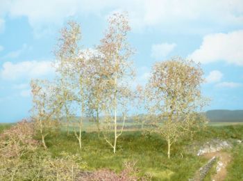 HEK1638 - 20 natural fibre trees
