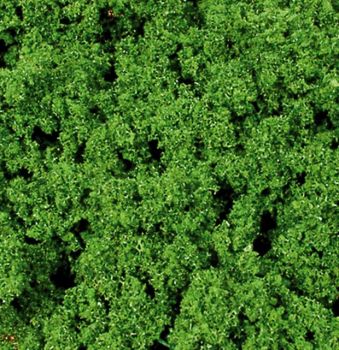 HEK1696 - Artline coarse green foliage - 300 ml