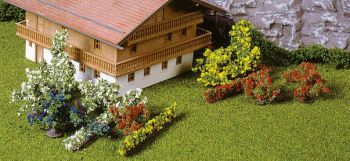 HEK1705 - 28 bushes 1-6 cm