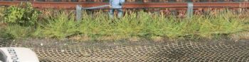 HEK1816 - 8 Spring grass strips 10 mm