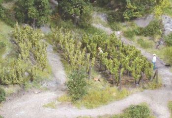 HEK19136 - 36 Vines - 2.5 cm