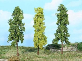 HEK1926 - 3 Deciduous trees 14 cm