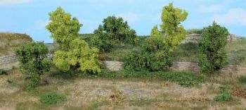 HEK1927 - 7 Bushes and shrubs 6-8 cm
