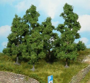 HEK1932 - 5 Fruit trees 5-8 cm