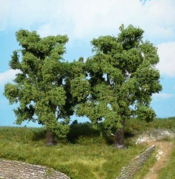 HEK1978 - 4 fruit trees 14 cm