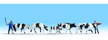 NOC15724 - Cows and farmers