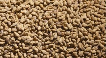 JUW23104 - Bag of 100grs of miniature potatoes for diorama