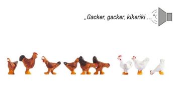 NOC12853 - Chickens with sound effects