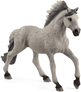 SHL13915 - Mustang stallion Sorraia
