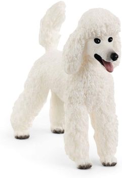 SHL13917 - Poodle