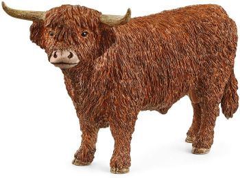 SHL13919 - Highland Bull
