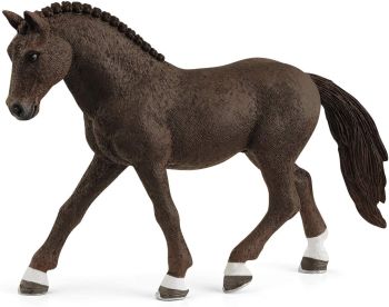 SHL13926 - German Riding Pony Gelding