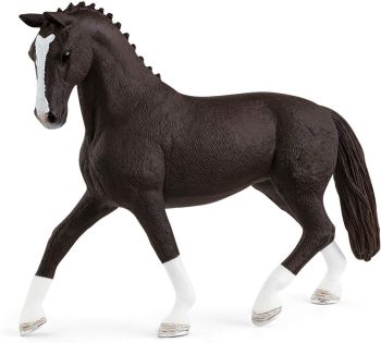 SHL13927 - Hanoverian nightshade mare