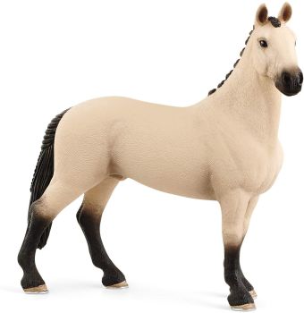 SHL13928 - Aubere Hanivrian gelding
