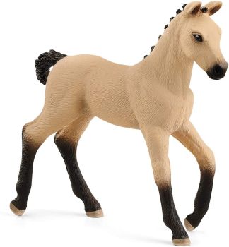 SHL13929 - Aubere Hanorian Foal