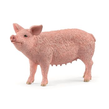 SHL13933 - Pig