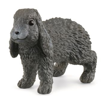 SHL13935 - lop rabbit