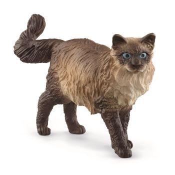 SHL13940 - Ragdoll Cat