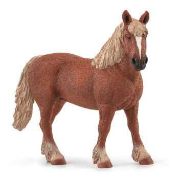 SHL13941 - Belgian brood mare