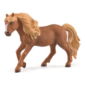 SHL13943 - Icelandic Stallion