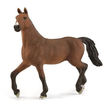 SHL13945 - Oldenburg mare