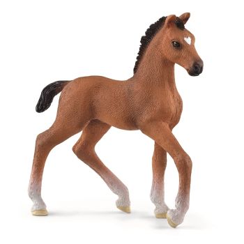 SHL13947 - Foal Oldenburg