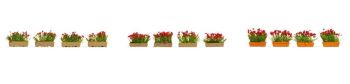 NOC14010 - Flower boxes; red
