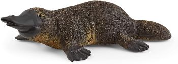 SHL14840 - Platypus