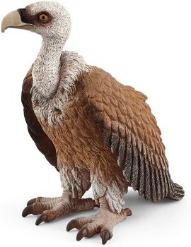 SHL14847 - Vulture