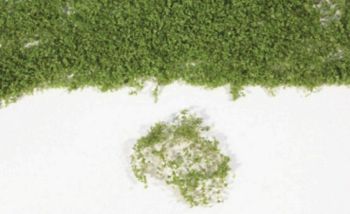 HEK15102 - Spring green foliage 28x14 cm