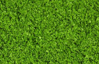 HEK15151 - Medium green foliage 200 ml