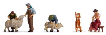 NOC15751 - shear sheep
