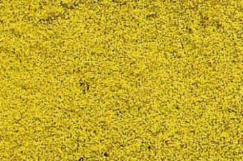 HEK1589 - Carpet of yellow flowers 28x14 cm