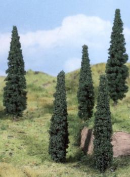 HEK1191 - 5 cypress trees 13 cm