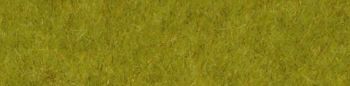 HEK1860 - Meadow green wild grass carpet 45x17 cm