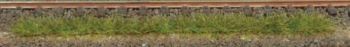 HEK1811 - 10 Strips of summer grass 10cm